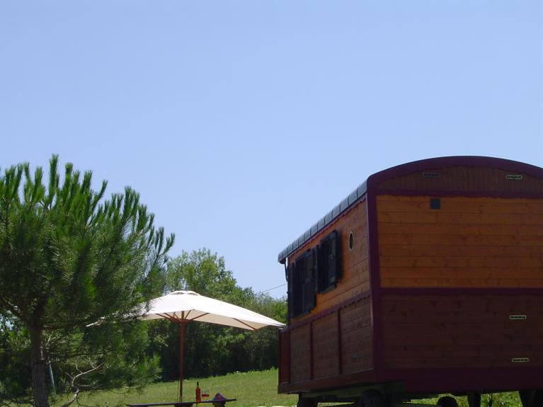 Parasol
Table de pique-nique en bois
Barbecue à charbon de bois  Parasol
Table de pique-nique en bois
Barbecue à charbon de bois