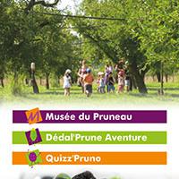 Découvrez le Musée du Pruneau  Bérino-Martinet qui produit et transforme dans le plus grand respect de la tradition, la prune d’ente en pruneau, depuis près de 50 ans.